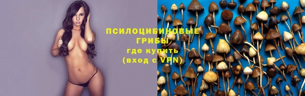 стафф Липки
