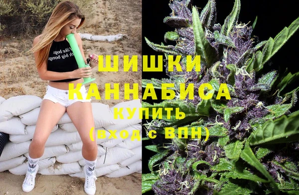 стафф Липки