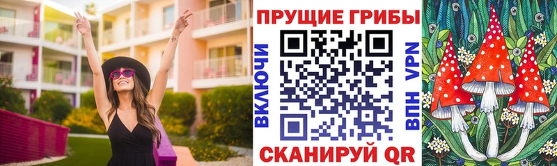 кракен tor  купить наркотики цена  Правдинск  Галлюциногенные грибы MAGIC MUSHROOMS 