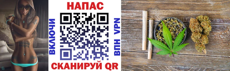 Конопля сатива Правдинск